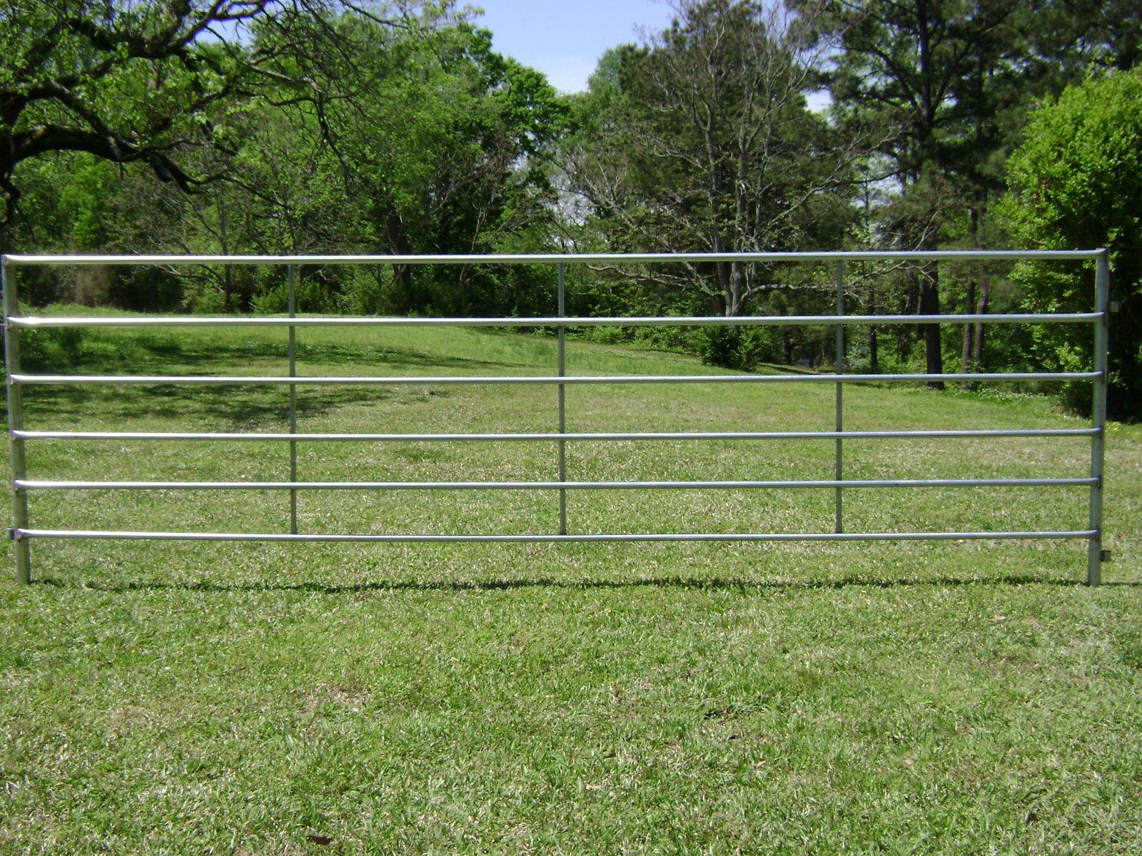 Best HD Pictures about  Allen Gate And Panel  with No AI Images